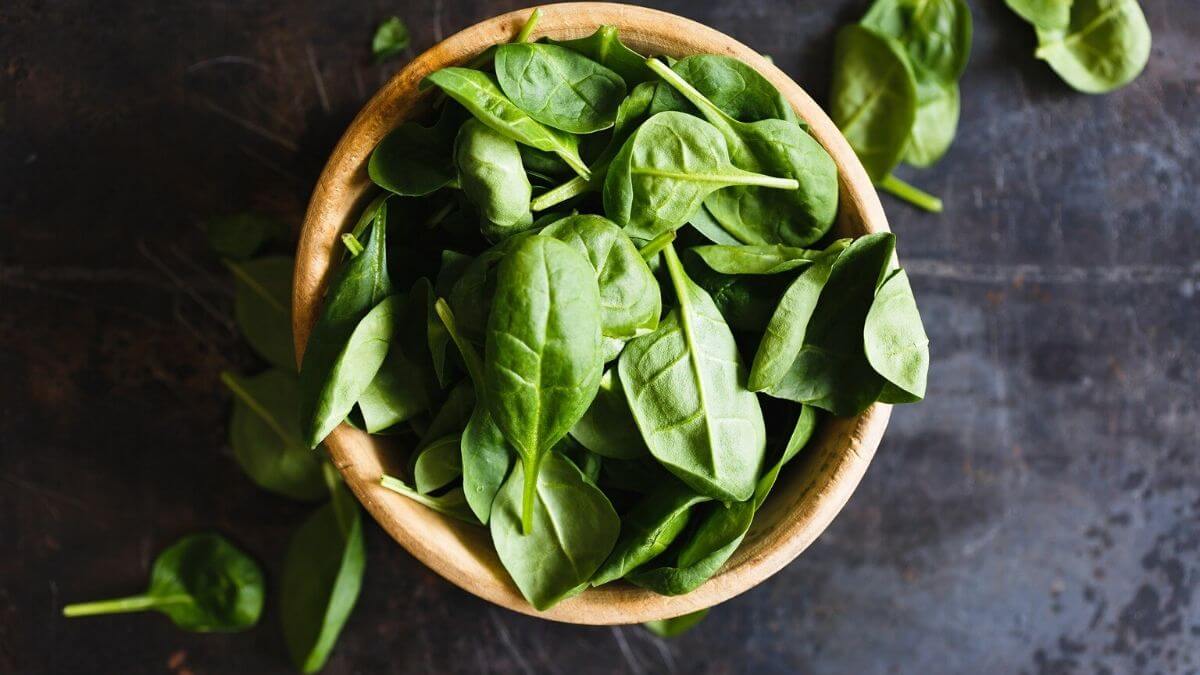 The health benefits of basil SantiShop