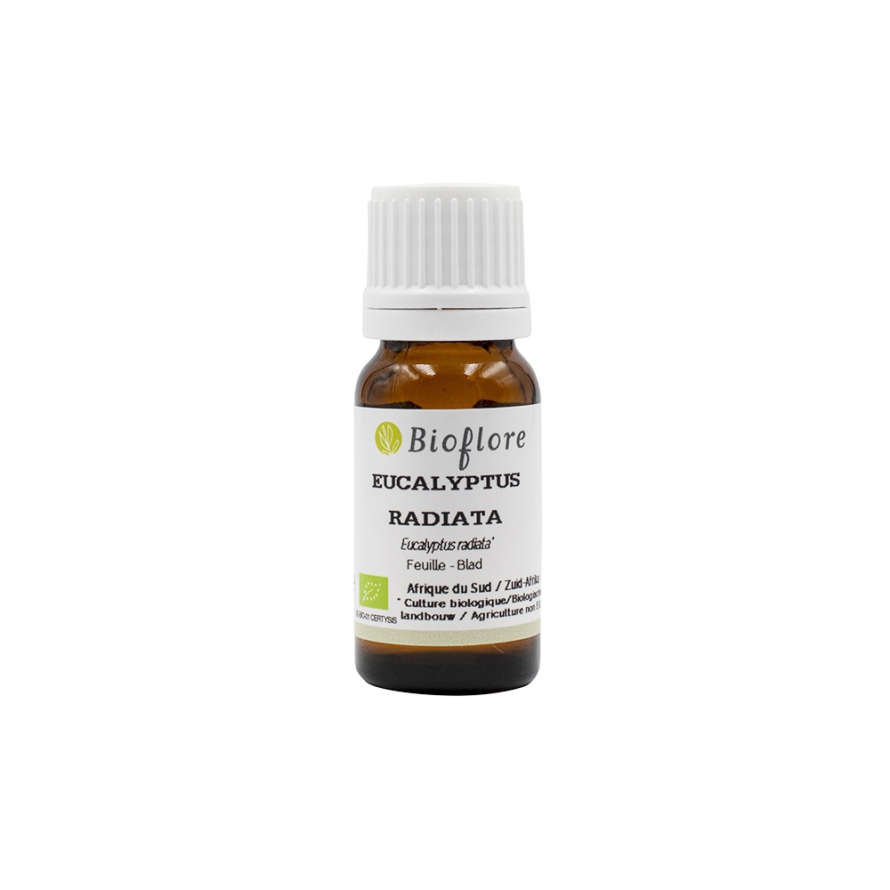 Eucalyptus radiata essential oil - organic