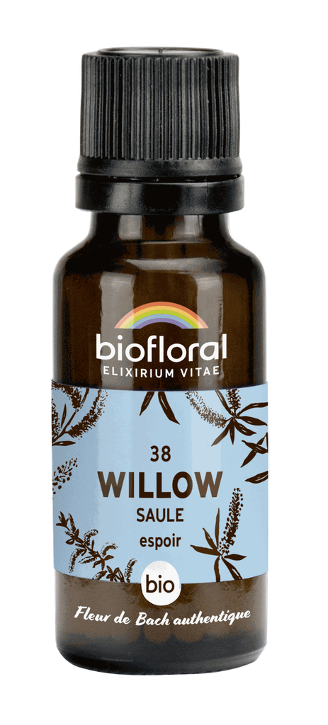 Saule - Fleur de Bach G38 - Granules bio sans alcool