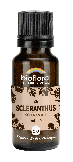 Scléranthe Fleur de Bach G28 - granules bio, sans alcool