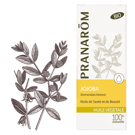 Jojoba (huile de) - Bio