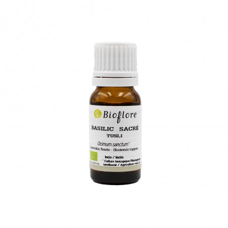 Heilige basilicum Tulsi - Biologisch