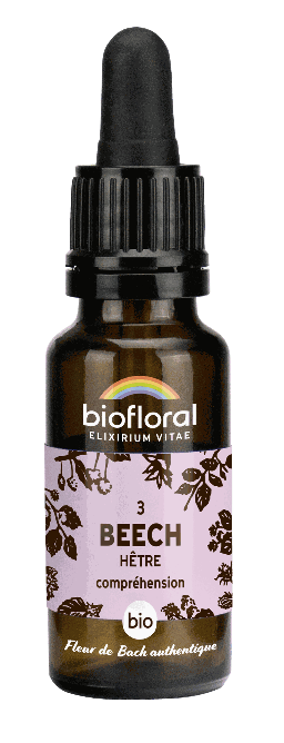 Buche - bio - 20 ml