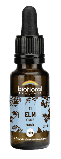 11 - Iep - biologisch - 20 ml