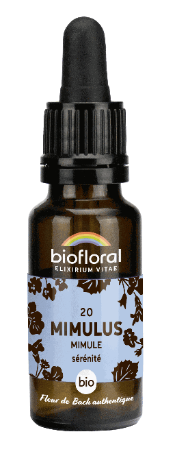 20 - Mimule - bio - 20 ml