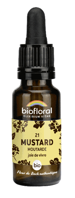 21 - Mosterd - biologisch - 20 ml