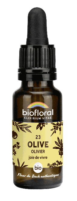 23 - Olijf - biologisch - 20 ml