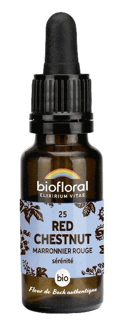 25 - Red Chestnut - organic - 20 ml