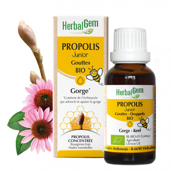 PROPOLIS JUNIOR - Tropfen - bio - 15 ml