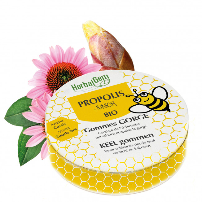 PROPOLIS JUNIOR - Junior Radiergummis - bio - 45 g