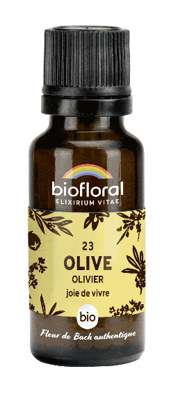 Olivenbaum-Olive, Globuli - 10 ml