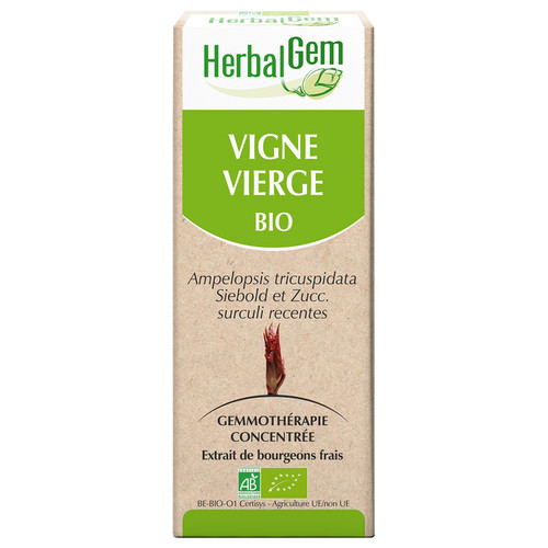 Vigne vierge : macérat-mère - bio 30 ml