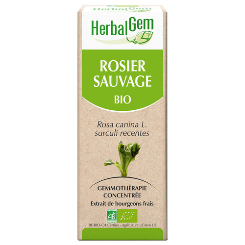 Rosier sauvage : macérat-mère - bio 30ML