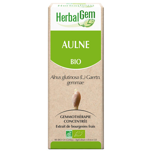 Alder bud extract - organic