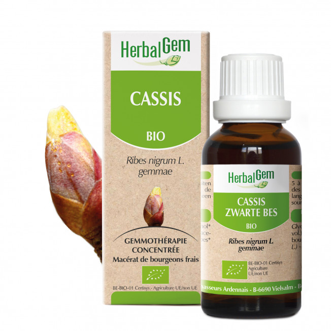 CASSIS BIO SPRAY 15 ML