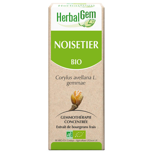 Haselnussstrauch Glycerinmazerat - bio