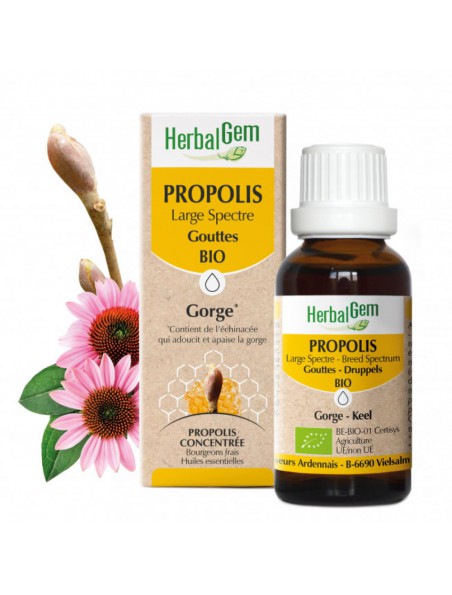 PROPOLIS LARGE SPECTRE BIO 50 ML