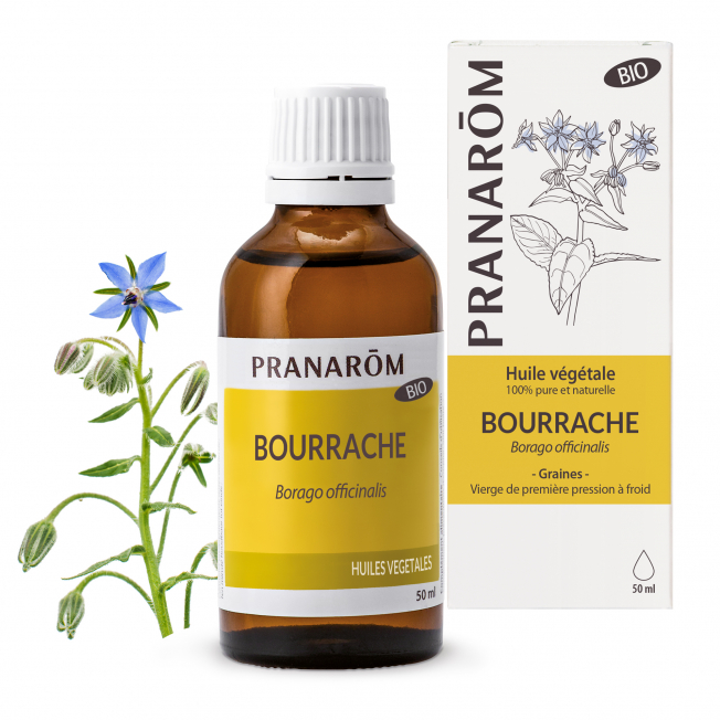 BOURRACHE BIO 50 ML