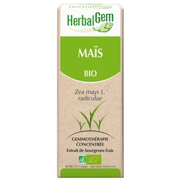 [HE142] Mais Glycerinmazerat - bio