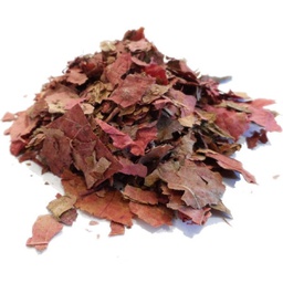 [SP078] Vigne rouge, feuilles - bio