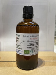 [HB001] Cardero mother tincture - Organic