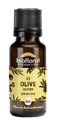 [BI123] Olivenbaum-Olive, Globuli - 10 ml