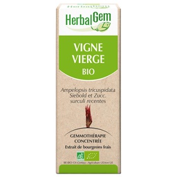 [HE203] Vigne vierge : macérat-mère - bio 30 ml