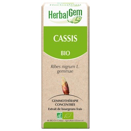 [HE204] Bourgeon de Cassis (macérat glycériné de) - ribes nigrum - bio 30 ml