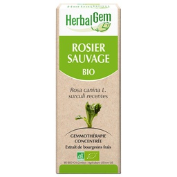 [HE209] Rosier sauvage : macérat-mère - bio 30ML