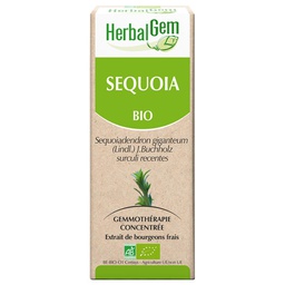 [HE210] Séquoia : macérat-mère - bio 30ML