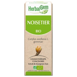 [HE349] Haselnussstrauch Glycerinmazerat - bio