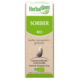 [HE370] SORBIER BIO 30 ML