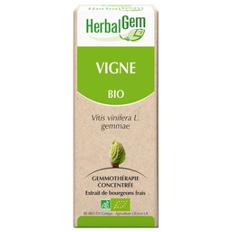 [HE384] VIGNE BIO 30 ML