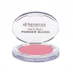 [BE095] Blush Mallow Rose