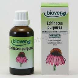 [BV014] Echinacea purpurea Urtinktur - Roter Sonnenhut - bio