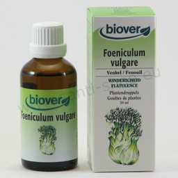 [BV019] Foeniculum Urtinktur - Fenchel - bio