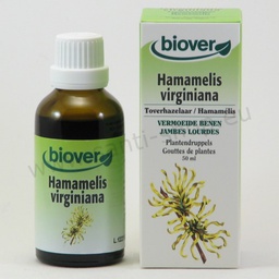 [BV022] Hamamelis virginiana Urtinktur - Zaubernuss - bio