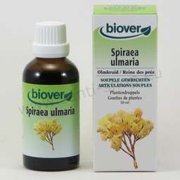 [BV038] Spiraea ulmaria Urtinktur - Mädesüß - bio